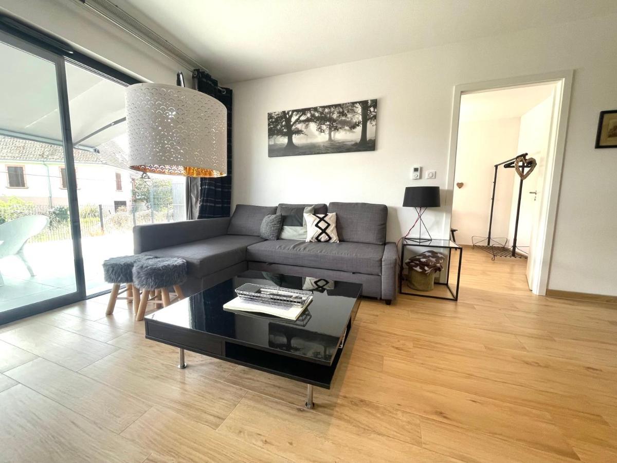 Magnifique 2 Pieces, Tout Equipe, Terrasse Privee Colmar Exteriör bild